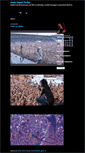 Mobile Screenshot of eretzsenet.blogger.ba