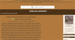 Desktop Screenshot of dzamija.blogger.ba