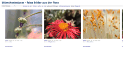 Desktop Screenshot of pappnase.blogger.de
