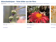 Tablet Screenshot of pappnase.blogger.de